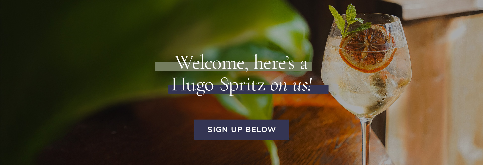 Sign up to the newsletter at The Garden Gate